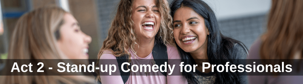 Stand Up Comedy For Professionals